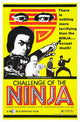 Challenge of the Ninja Movie Poster Print showcasing martial arts action.