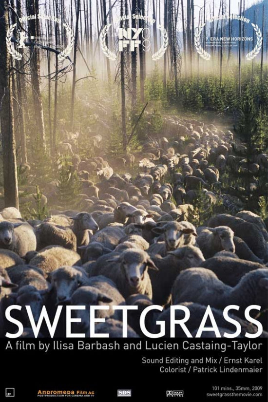 Sweetgrass Movie Poster showcasing breathtaking landscapes and sheep herding.