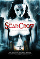 The Scar Crow Movie Poster Print (11x17) | Posterazzi