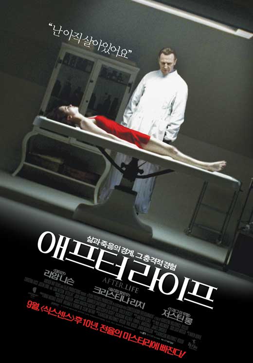 After Life Movie Poster Print showcasing the film's captivating visuals.