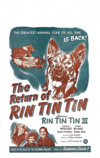 The Return of Rin Tin Tin Movie Poster Print showcasing classic adventure.