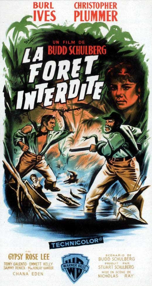 Wind Across the Everglades Movie Poster Print 11x17