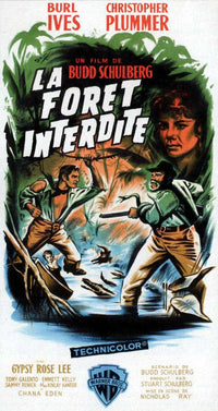 Wind Across the Everglades Movie Poster Print 11x17