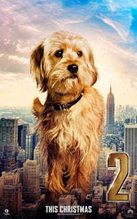 Anchorman 2: The Legend Continues Movie Poster Print featuring vibrant colors and humor.