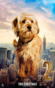 Anchorman 2: The Legend Continues Movie Poster Print featuring vibrant colors and humor.