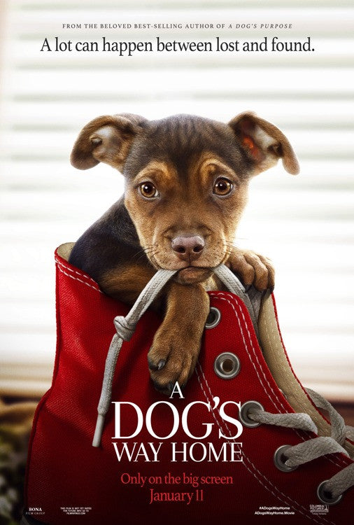 A Dog's Way Home Movie Poster Print (27x40) - Perfect for Home or Office