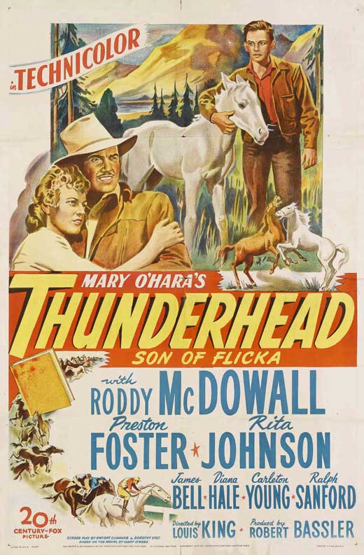 Thunderhead - Son of Flicka Movie Poster Print in vibrant colors.