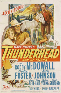 Thunderhead - Son of Flicka Movie Poster Print in vibrant colors.