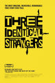 Three Identical Strangers Movie Poster Print (27x40)
