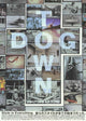 Dogtown and Z-Boys Movie Poster Print 11x17