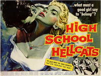 High School Hellcats Movie Poster Print on premium paper.