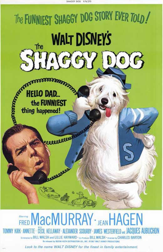 The Shaggy Dog Movie Poster Print - 11x17 | Posterazzi