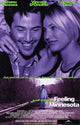 Feeling Minnesota Movie Poster Print showcasing vibrant film artwork.