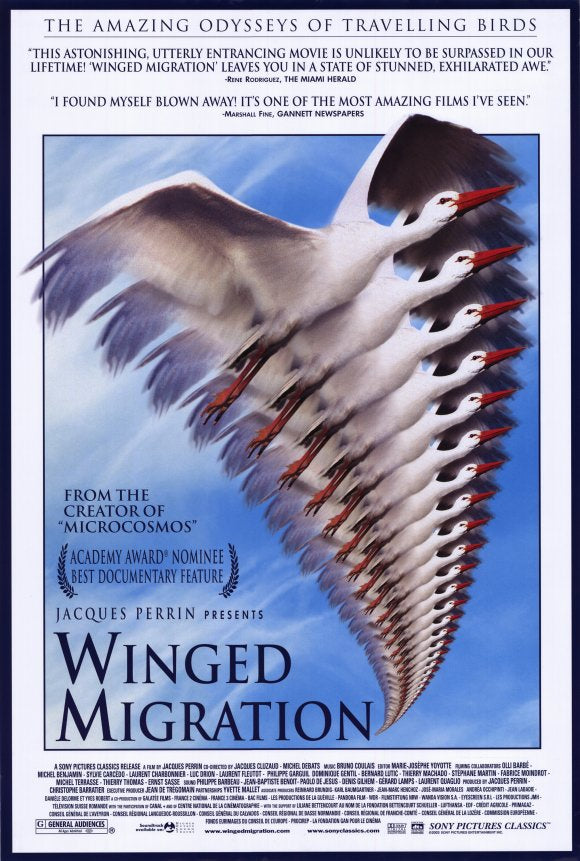 Stunning Winged Migration Movie Poster Print showcasing migratory birds.