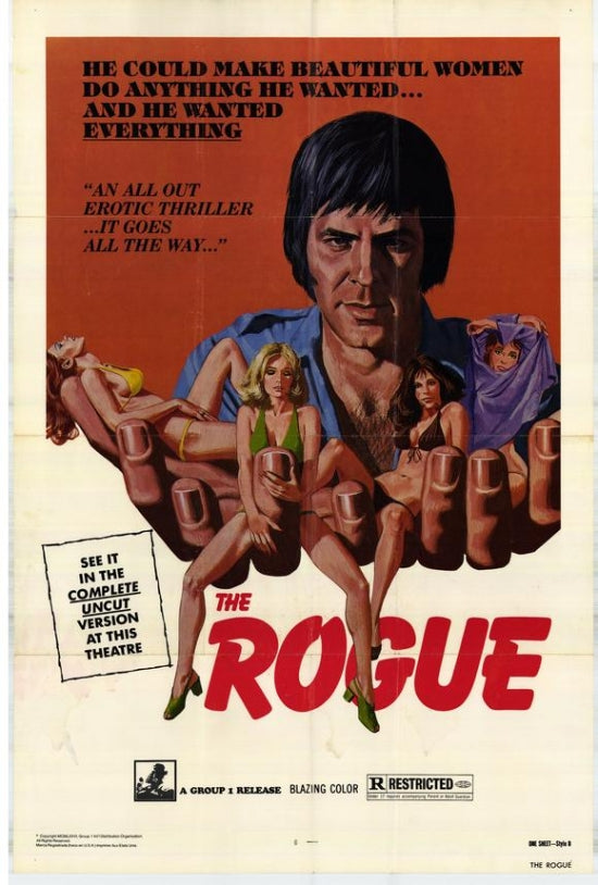The Rogue Movie Poster Print showcasing a thrilling cinematic design.