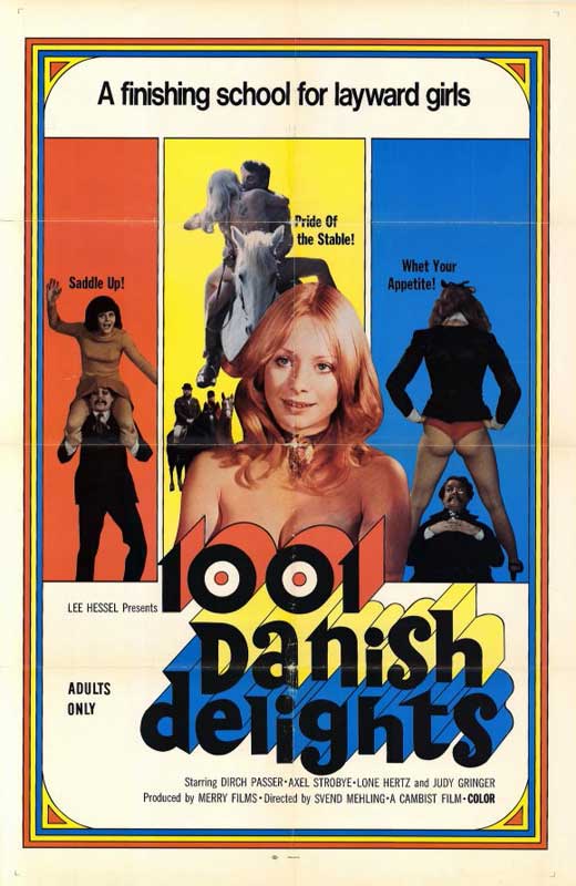 1001 Danish Delights Movie Poster Print showcasing vibrant imagery.