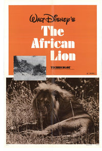 The African Lion Movie Poster Print showcasing the majestic lion in vibrant colors.