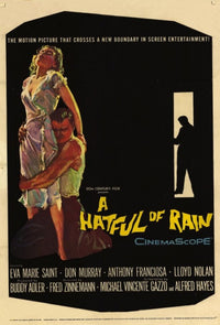 Hatful of Rain Movie Poster Print showing classic film art.