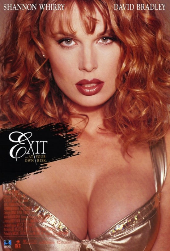 Exit Movie Poster featuring captivating artwork for film lovers.