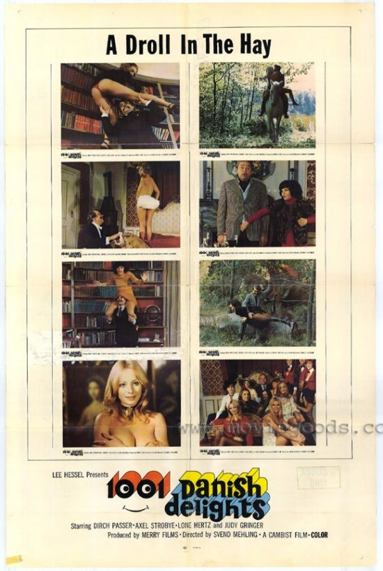 1001 Danish Delights Movie Poster Print showcasing vibrant colors and cinematic charm.