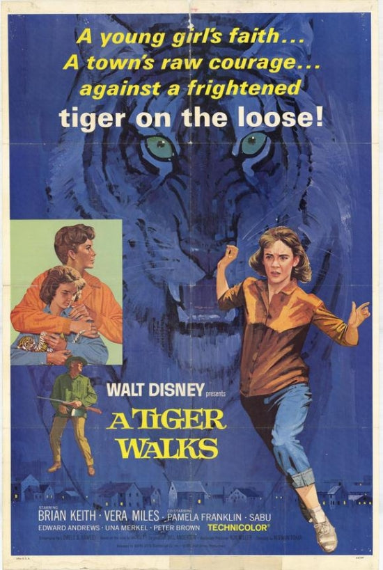 A Tiger Walks Movie Poster Print featuring a majestic tiger in mid-stride.