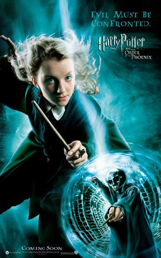 Harry Potter and the Order of the Phoenix Movie Poster Print 27x40