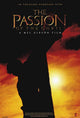The Passion of the Christ Movie Poster Print (27x40)