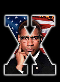 Malcolm X Movie Poster Print - 27 x 40 | Posterazzi