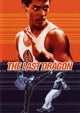 The Last Dragon Movie Poster Print (27x40)