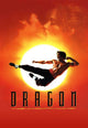 Dragon: The Bruce Lee Story Movie Poster Print 11x17