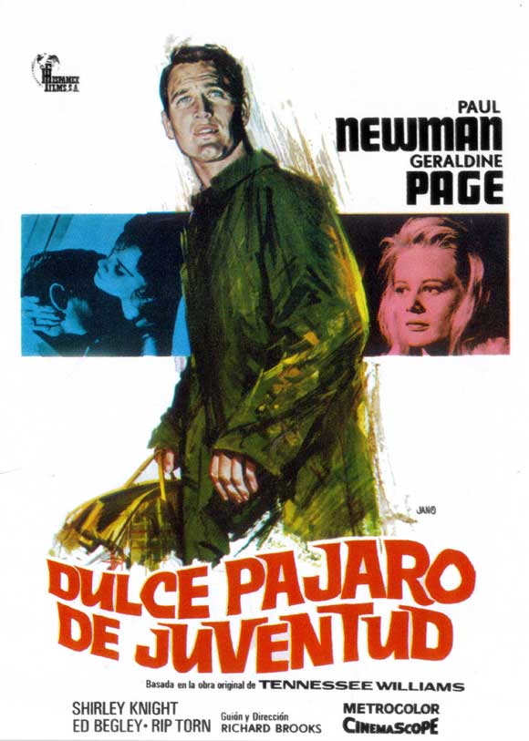 Sweet Bird of Youth Movie Poster Print showcasing classic film art.