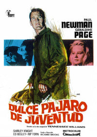 Sweet Bird of Youth Movie Poster Print showcasing classic film art.