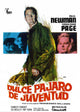Sweet Bird of Youth Movie Poster Print showcasing classic film art.