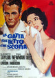 Cat on a Hot Tin Roof Movie Poster Print