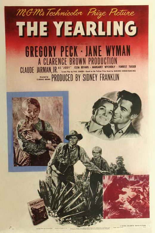 The Yearling Movie Poster Print showcasing classic film artwork.