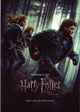 Harry Potter and the Deathly Hallows: Part I Movie Poster Print (11x17)
