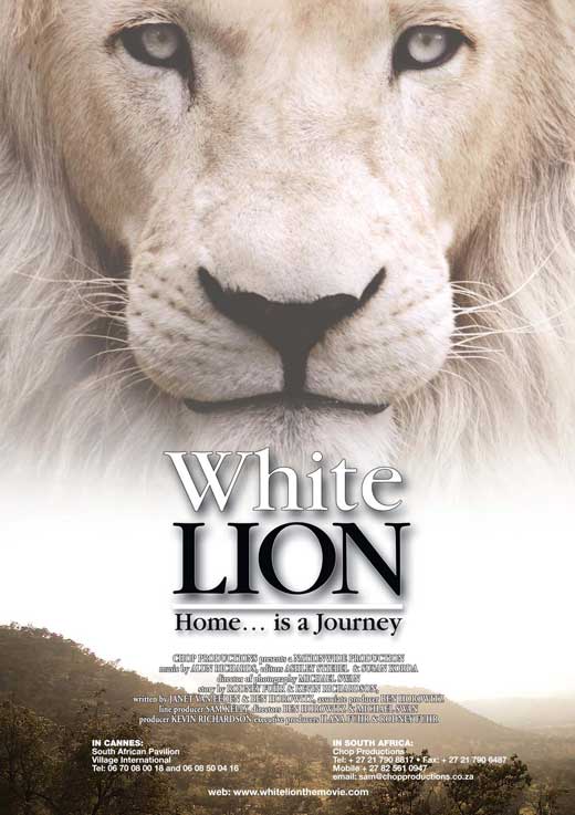 White Lion Movie Poster Print featuring a majestic white lion.