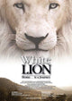 White Lion Movie Poster Print featuring a majestic white lion.
