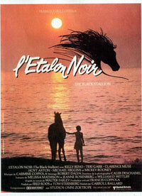 The Black Stallion Returns Movie Poster Print featuring vibrant imagery from the classic film.