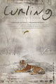 Curling Movie Poster Print showcasing the excitement of curling.
