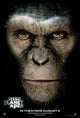 Rise of the Planet of the Apes movie poster print showcasing cinematic art.