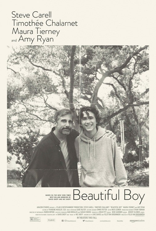 Beautiful Boy Movie Poster Print (27x40) - Item #MOVCB21755
