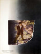 Citizen Kane Movie Poster Print - Classic Film Artwork