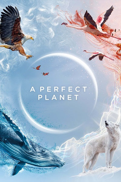 A Perfect Planet Movie Poster Print showcasing the beauty of nature.