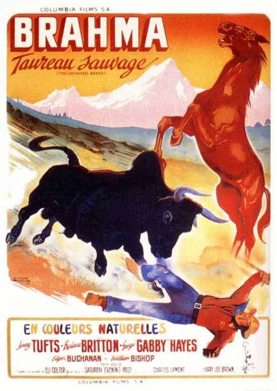 The Untamed Breed Movie Poster Print showcasing vibrant imagery and film essence.