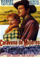 Westward the Women Movie Poster Print showcasing classic Western cinema.