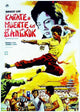 Fists of Fury Movie Poster Print showcasing martial arts action.