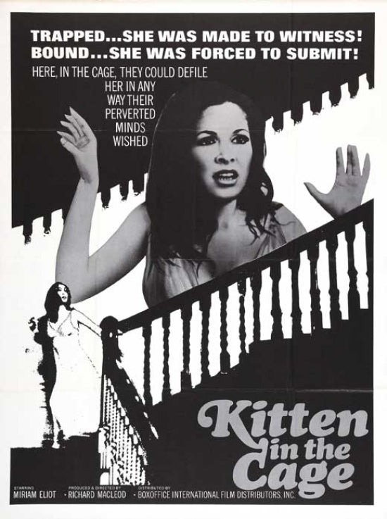 Kitten in a Cage Movie Poster Print on premium paper