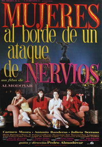 Women on the Verge of a Nervous Breakdown Movie Poster Print 11x17