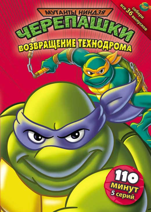 Teenage Mutant Ninja Turtles Movie Poster Print 11 x 17